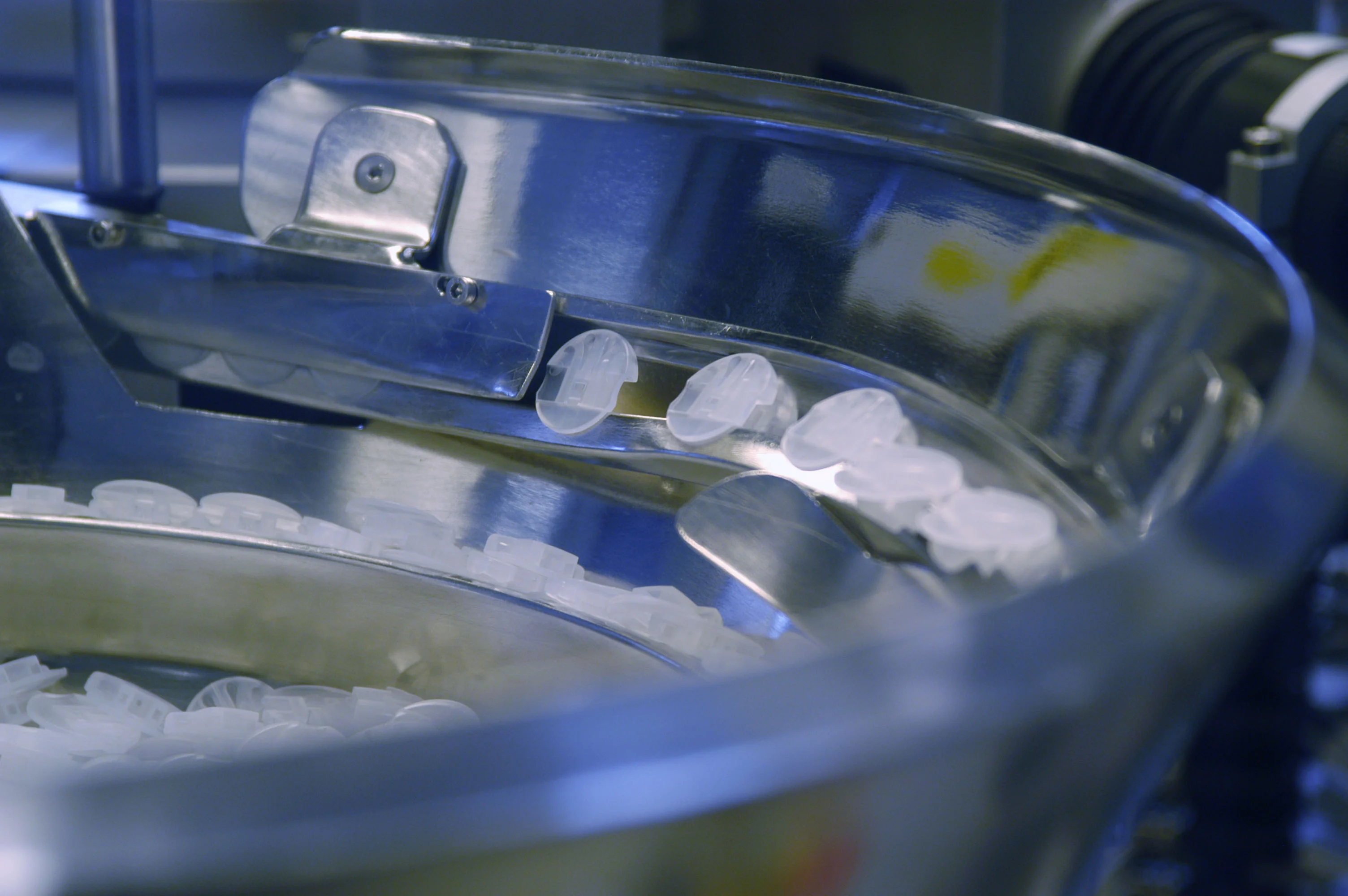 a close-up of a fish