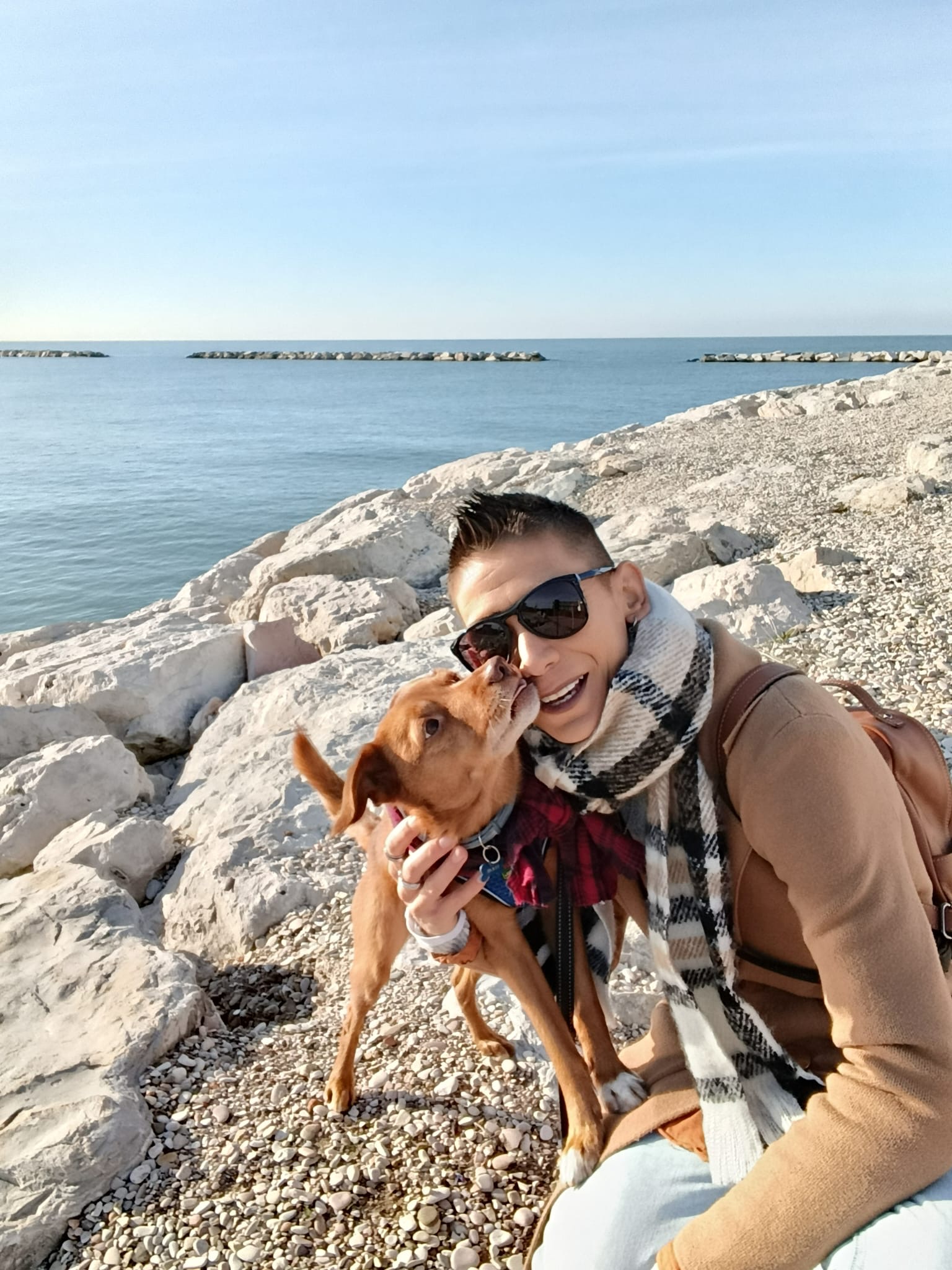 una persona che tiene un cane su una spiaggia rocciosa